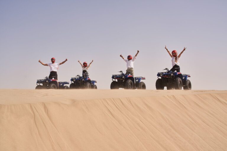 Doha: Half Day Desert Safari From Cruise Port