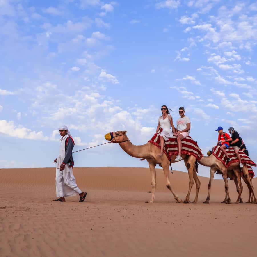 Desert Safari